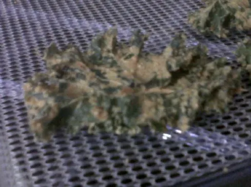 Käseartige, würzige Grünkohl-Chips