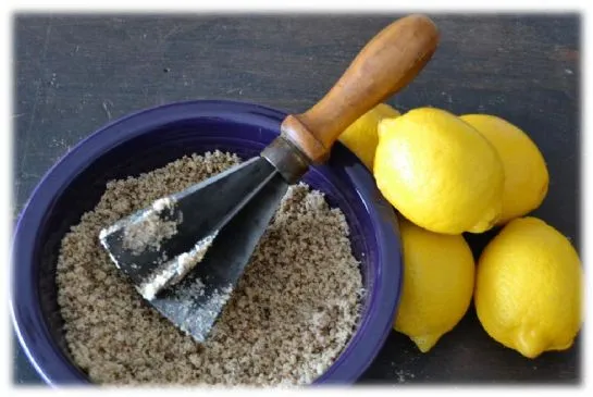 SCD Zitronen-Blaubeer-Riegel