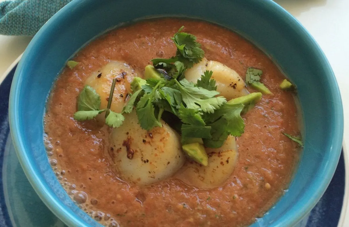 Avocado-Gazpacho mit angebratenen Jakobsmuscheln