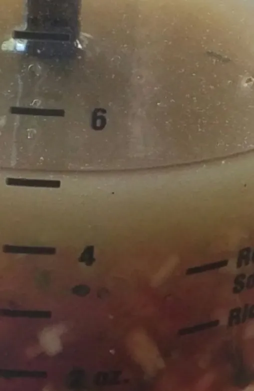 Spinat-Erdbeer-Dressing