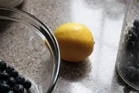 Zitronen-Blaubeer "Cookie-Diät" Keks