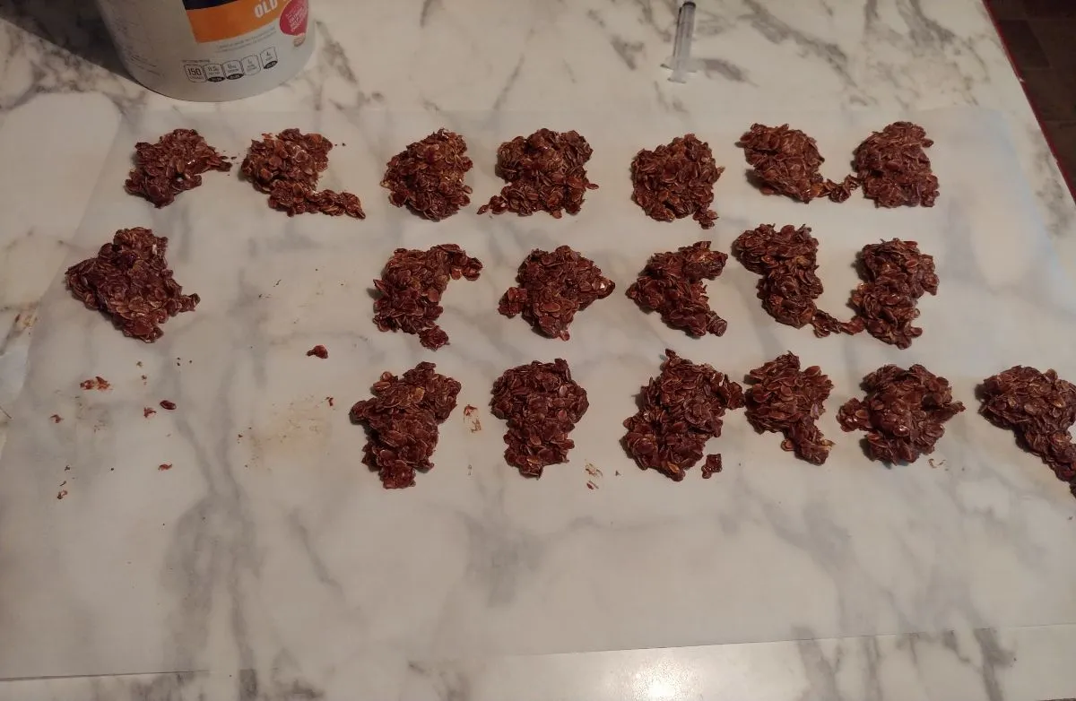 Omas Schokoladen-Haferkekse