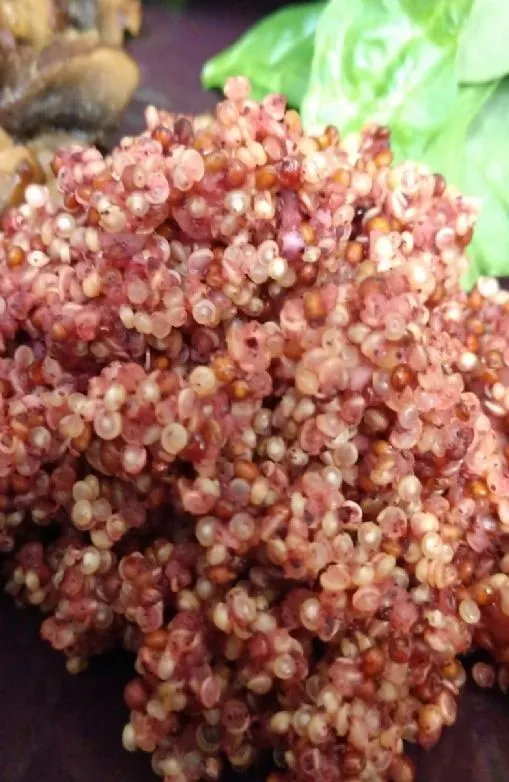 Quinoa in Butter mit Wasser gekocht