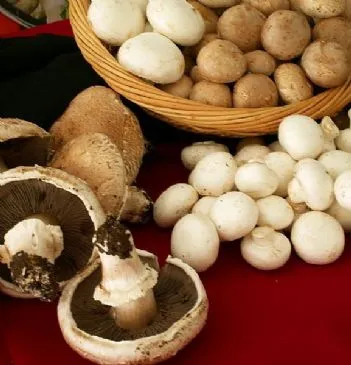 Scharfer Ranch-Portabella-Pilz-Wrap