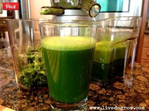 Mean Green Juice Drink