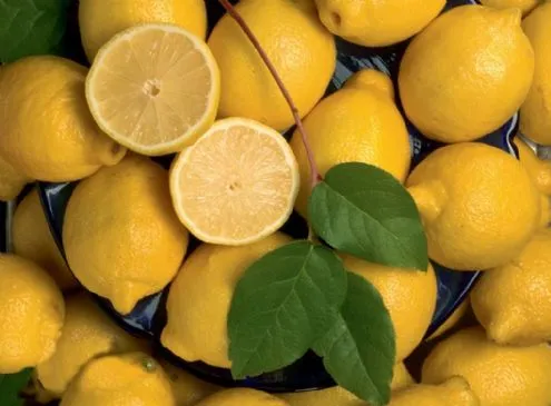 Zitronen-Estragon-Dressing