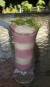 Zuckerstangen Vi Shake